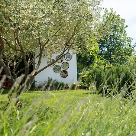Villa Vita E Sole Cepljani